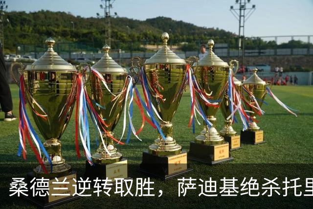 桑德兰逆转取胜，萨迪基绝杀托里什人联合